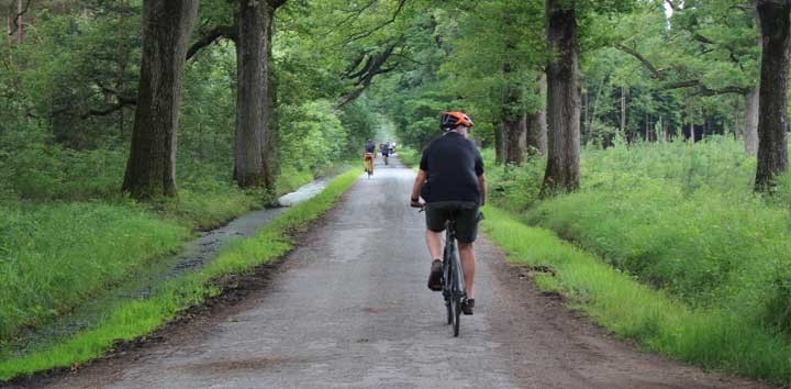 Du nouveau à Paris Bike Tour